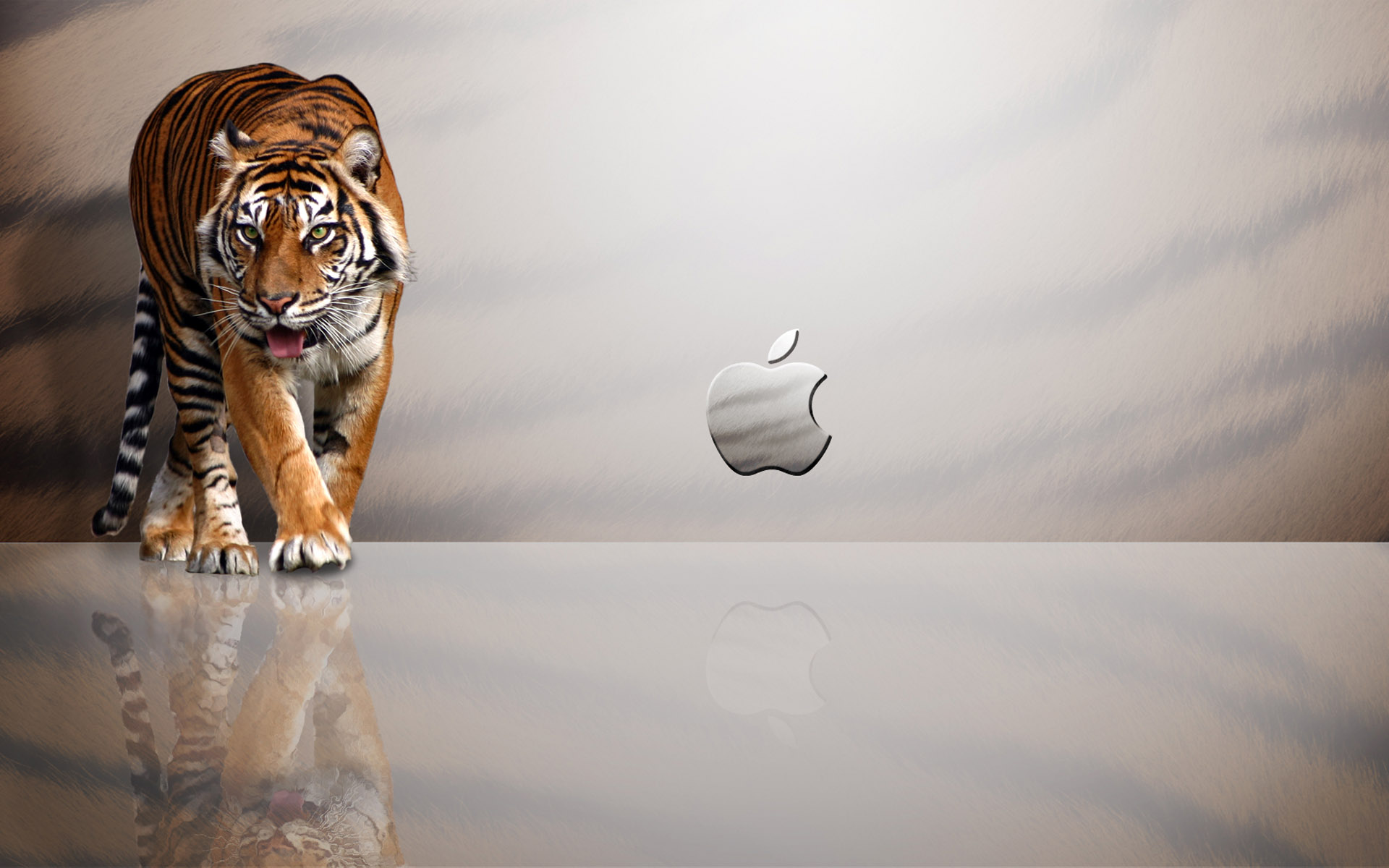 Apple MAC Tiger579149790 - Apple MAC Tiger - Tiger, iPhone, Apple